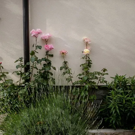 アパート By The Sea - Donja, Rab - 11769 *